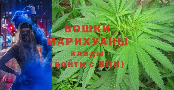 винт Абаза