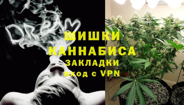 винт Абаза