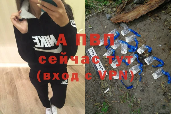 винт Абаза