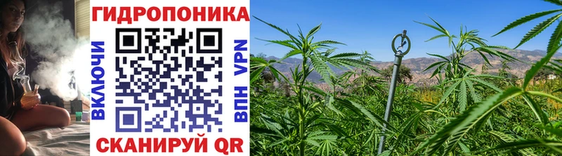 Конопля Ganja Костерёво